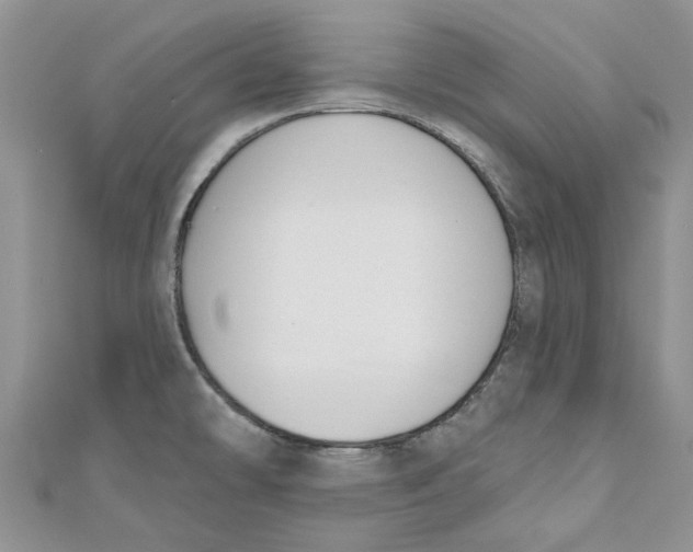 X0000110901478200907091405