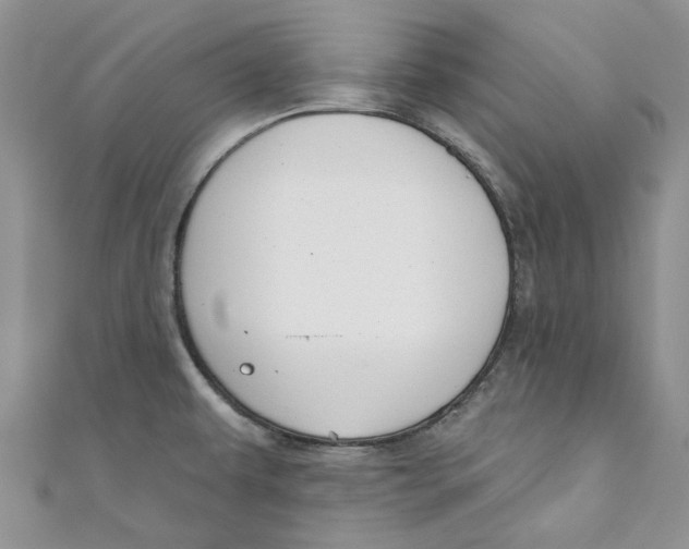 X0000110901479200907091405