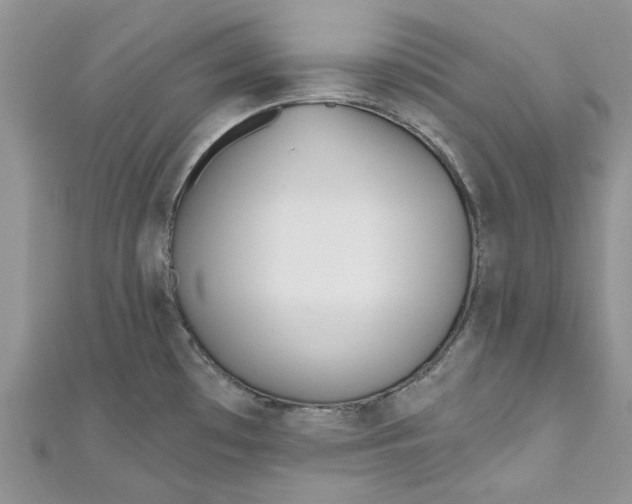 X0000110901481200907091405