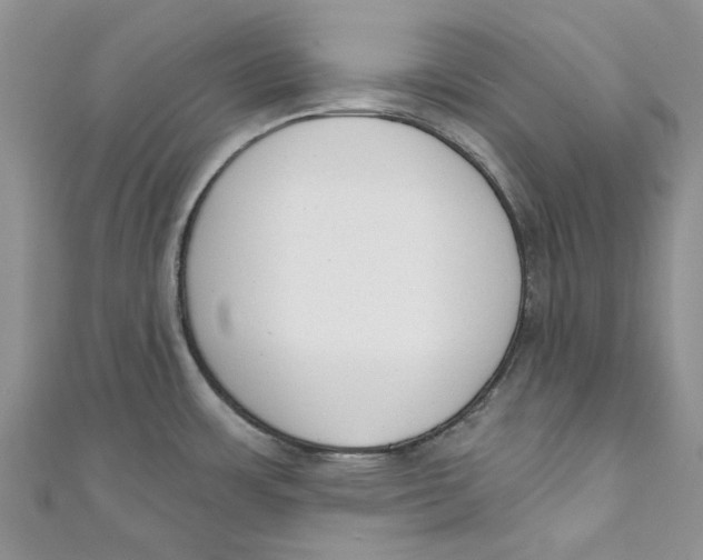 X0000110901483200907091405