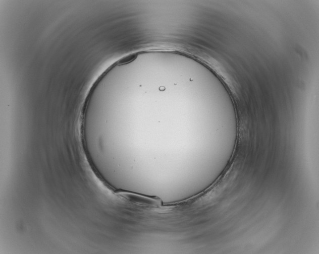 X0000110901484200907091405