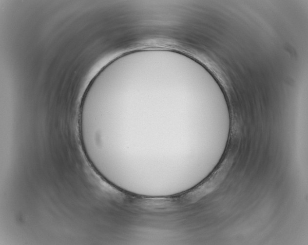 X0000110901486200907091405