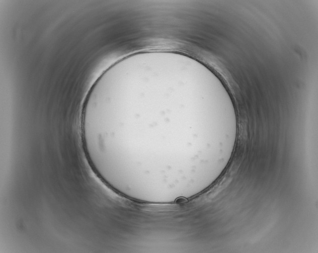 X0000110901487200907091405