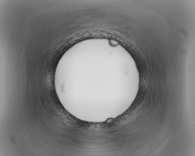 X0000110901490200907091404
