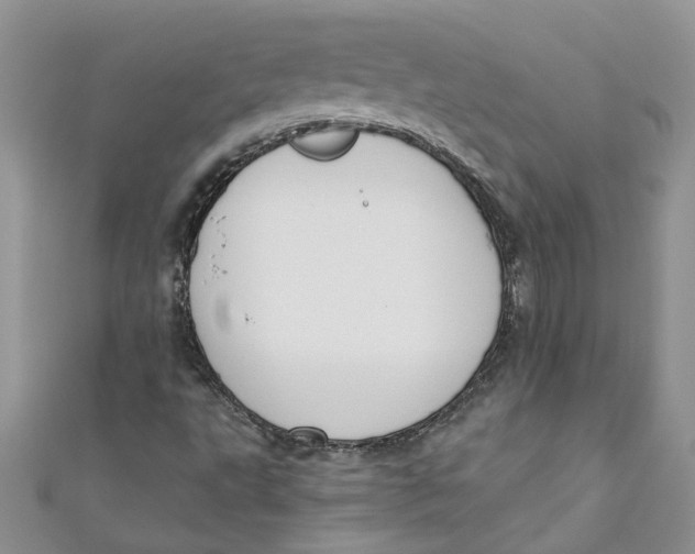 X0000110901495200907091404