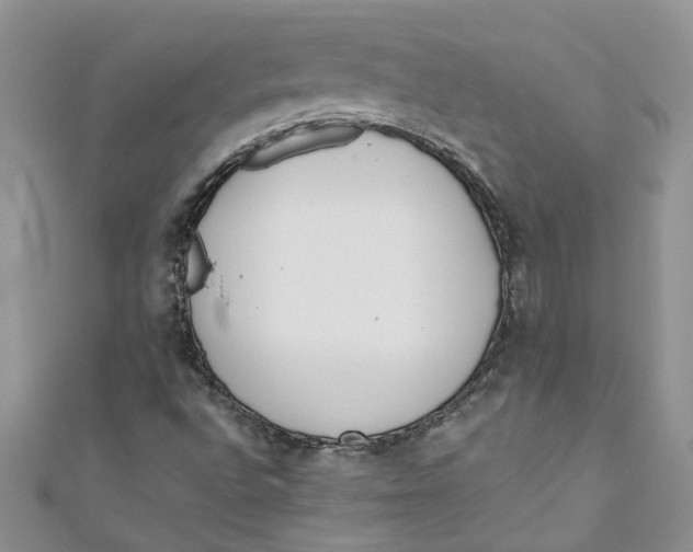 X0000110901496200907091404