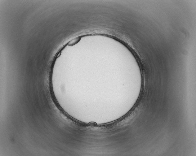 X0000110901500200907091404