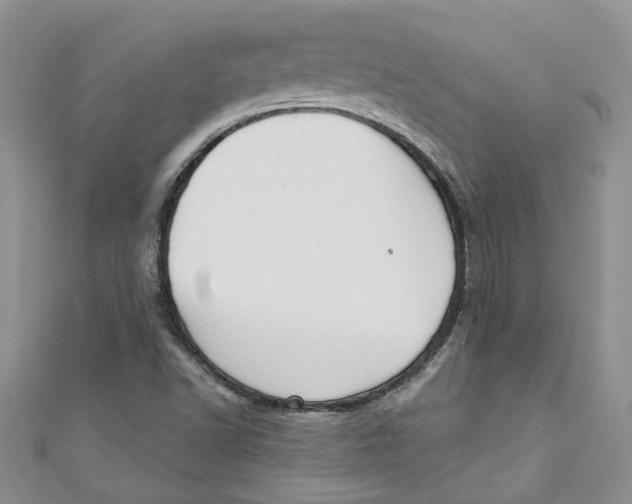 X0000110901502200907091404