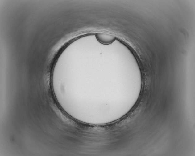 X0000110901503200907091404
