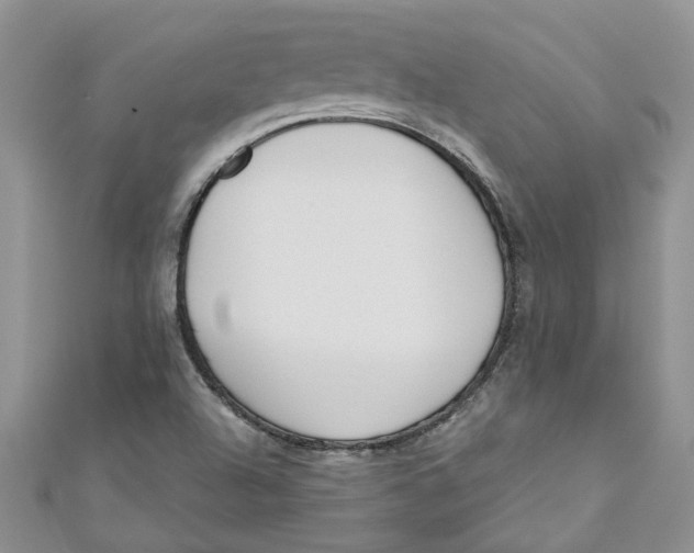 X0000110901504200907091405