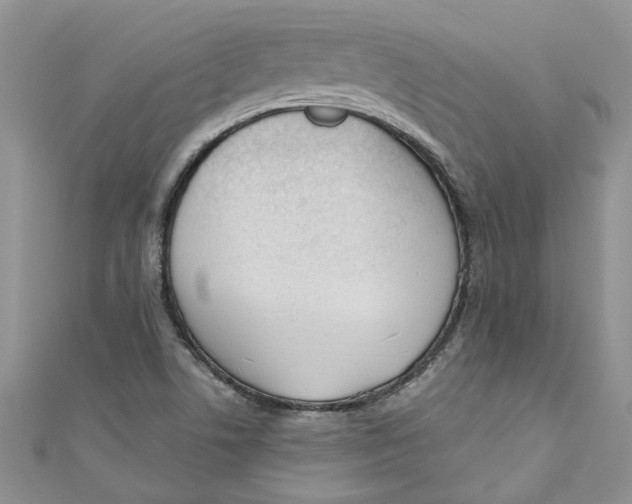 X0000110901506200907091405