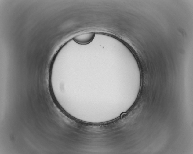 X0000110901508200907091405