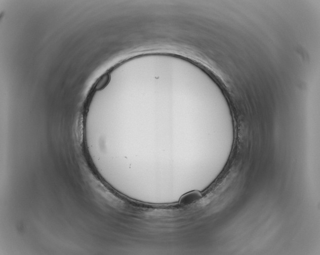 X0000110901510200907091405