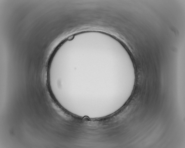 X0000110901511200907091405