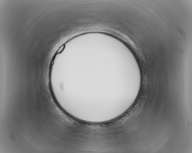 X0000110901512200907091405