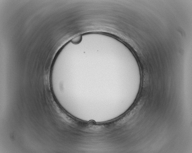 X0000110901513200907091405