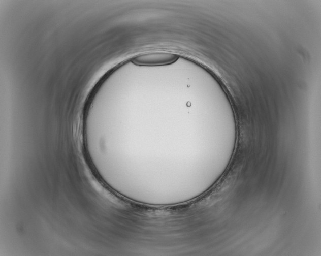 X0000110901515200907091405