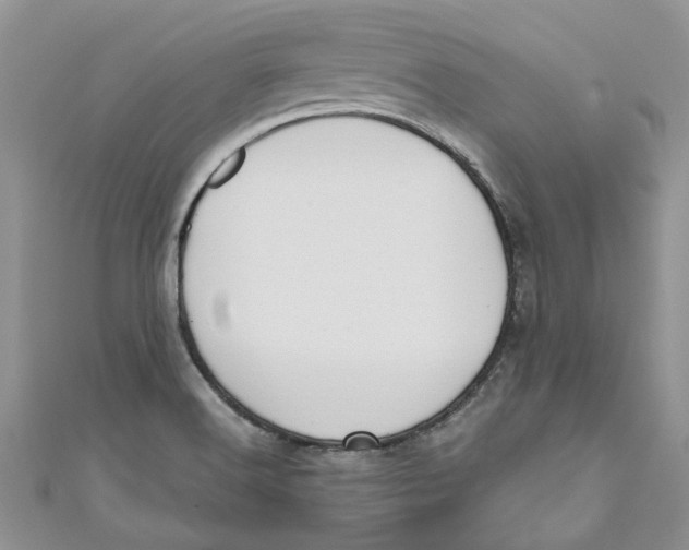 X0000110901516200907091405