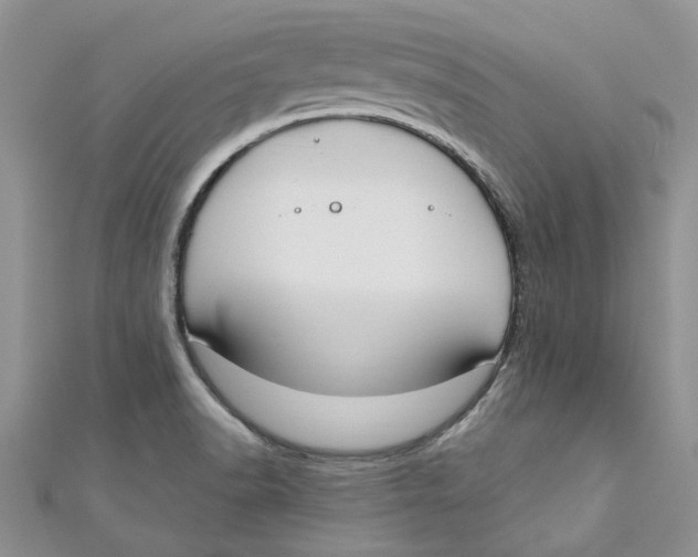 X0000110901518200907091405