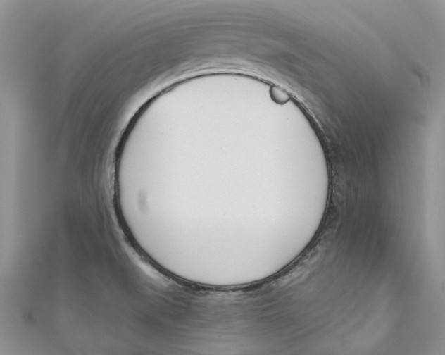 X0000110901519200907091405