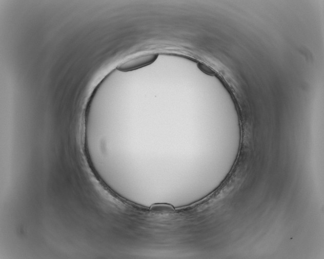 X0000110901520200907091405