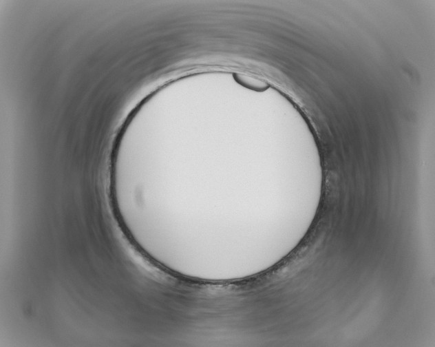 X0000110901523200907091405