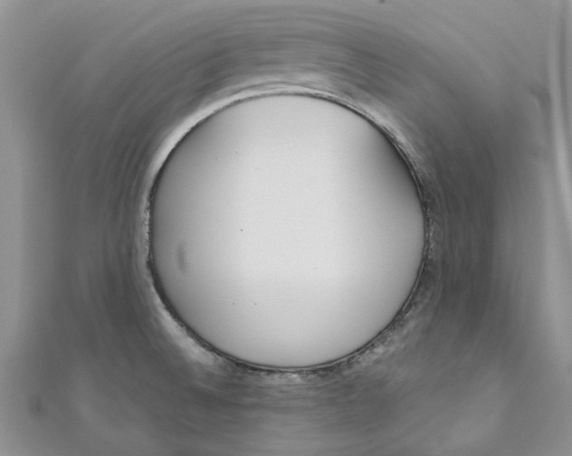 X0000110901524200907091405