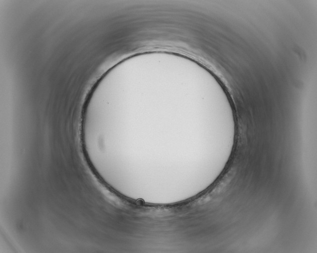 X0000110901525200907091405