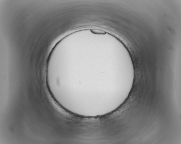 X0000110901526200907091405