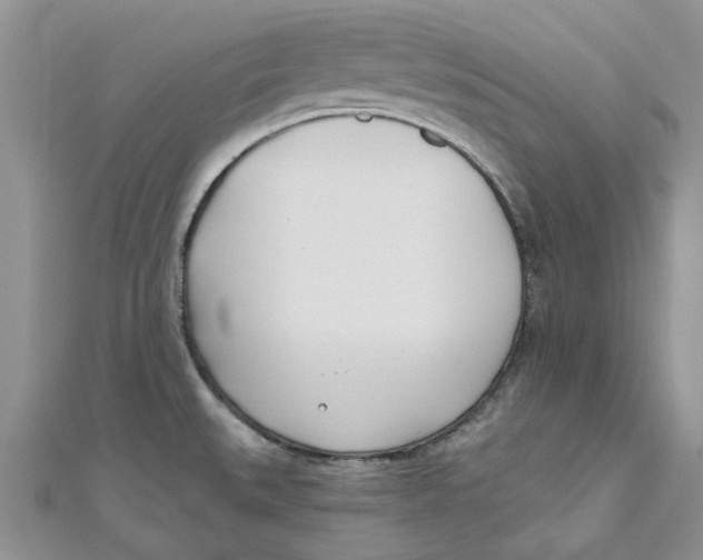 X0000110901527200907091405