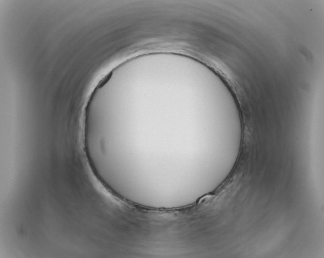 X0000110901528200907091405