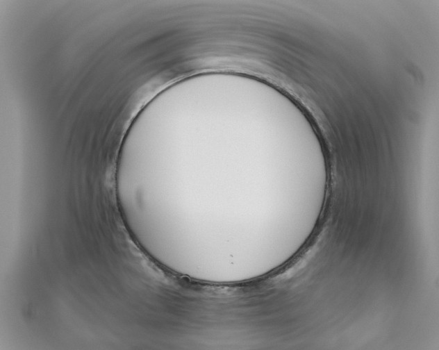 X0000110901529200907091405