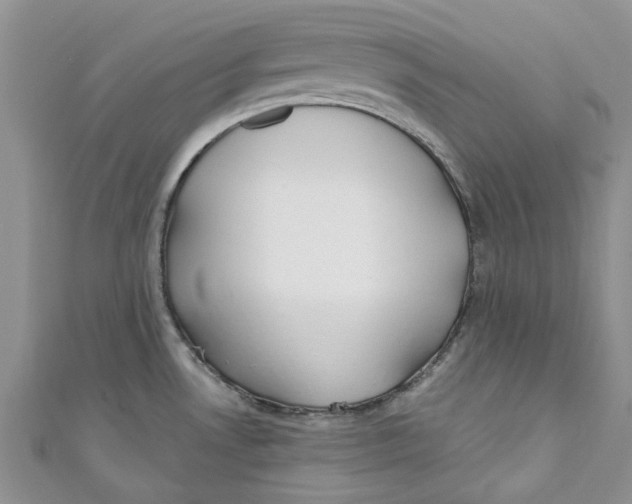 X0000110901530200907091405