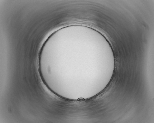 X0000110901531200907091405