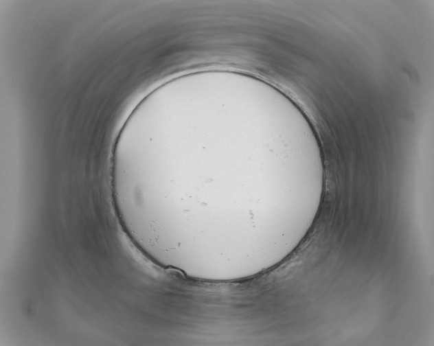 X0000110901532200907091405