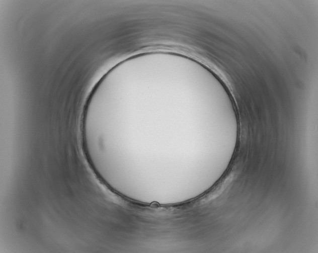 X0000110901533200907091405