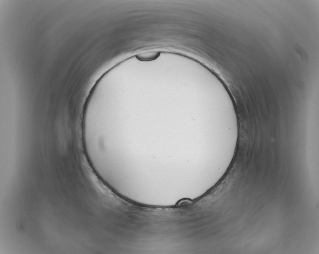 X0000110901534200907091405