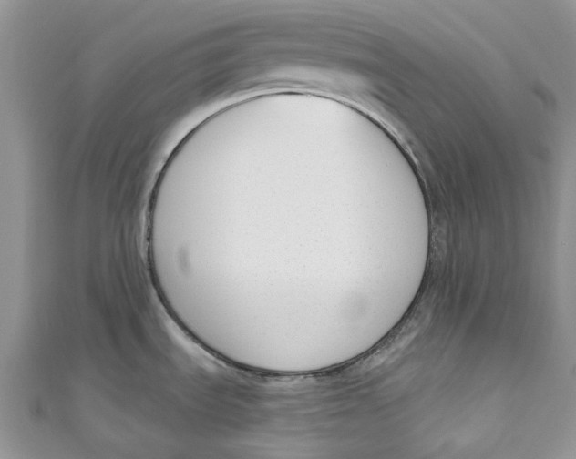 X0000110901535200907091405