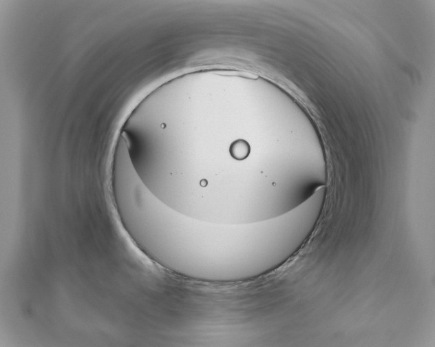 X0000110901536200907091405