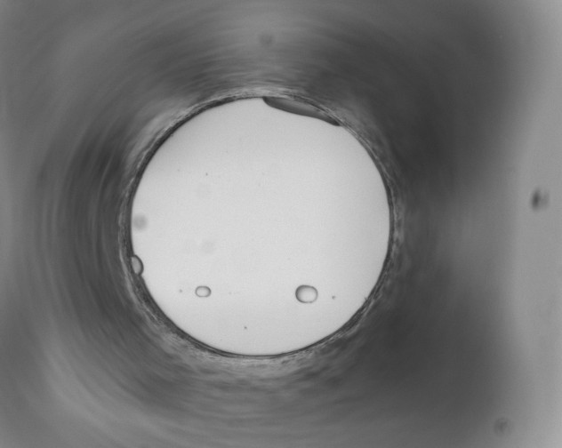 X0000110900001200907161603