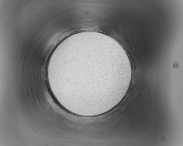 X0000110900002200907161603