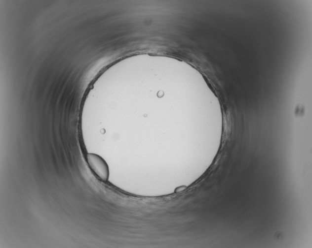 X0000110900003200907161603