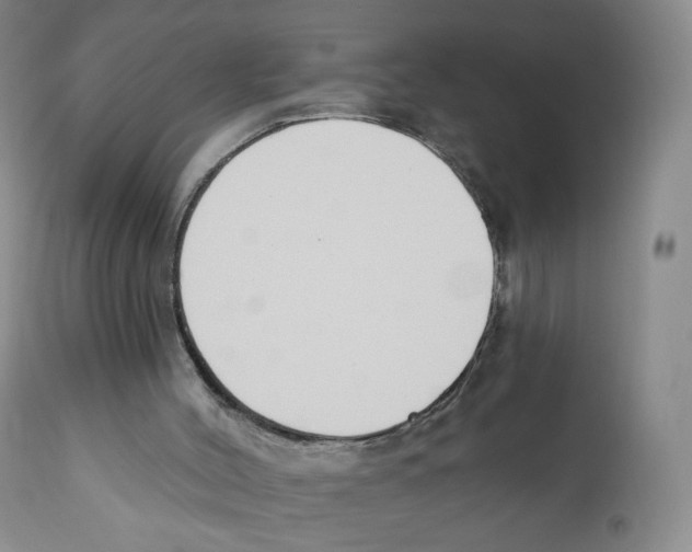 X0000110900004200907161603