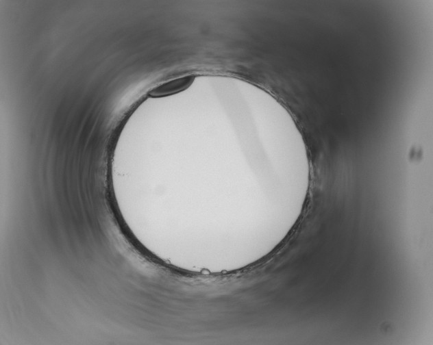 X0000110900005200907161603