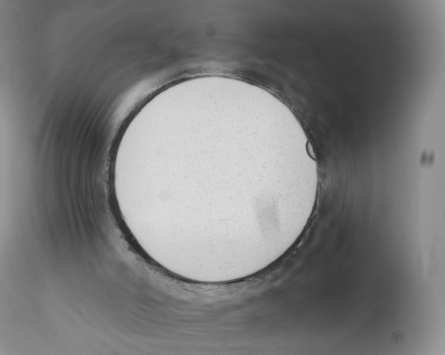 X0000110900006200907161603