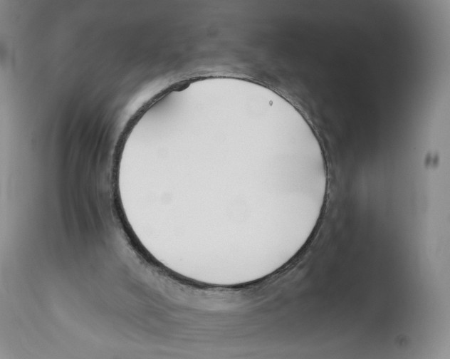 X0000110900008200907161603