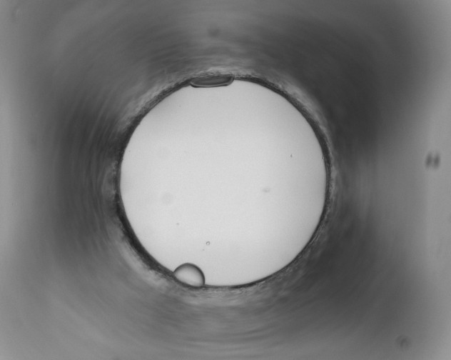 X0000110900009200907161603