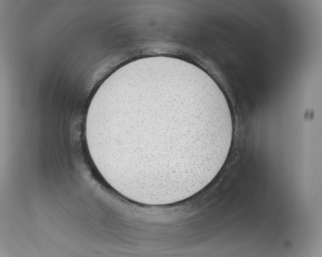 X0000110900010200907161603