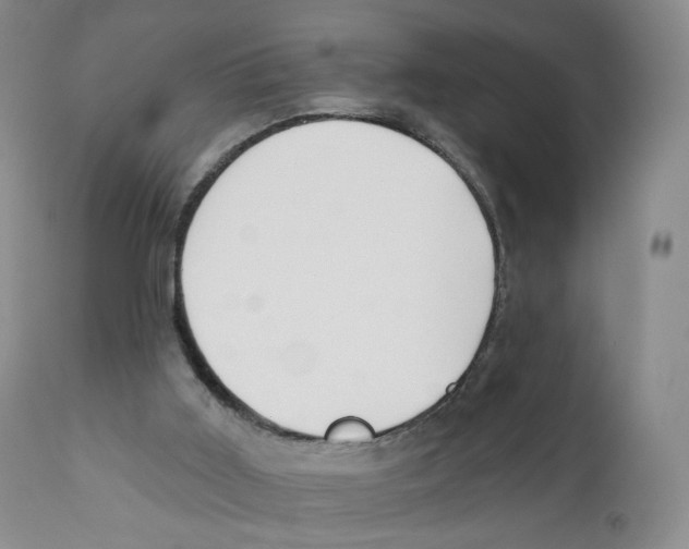 X0000110900011200907161603