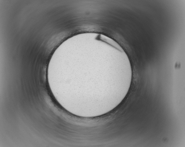 X0000110900014200907161603